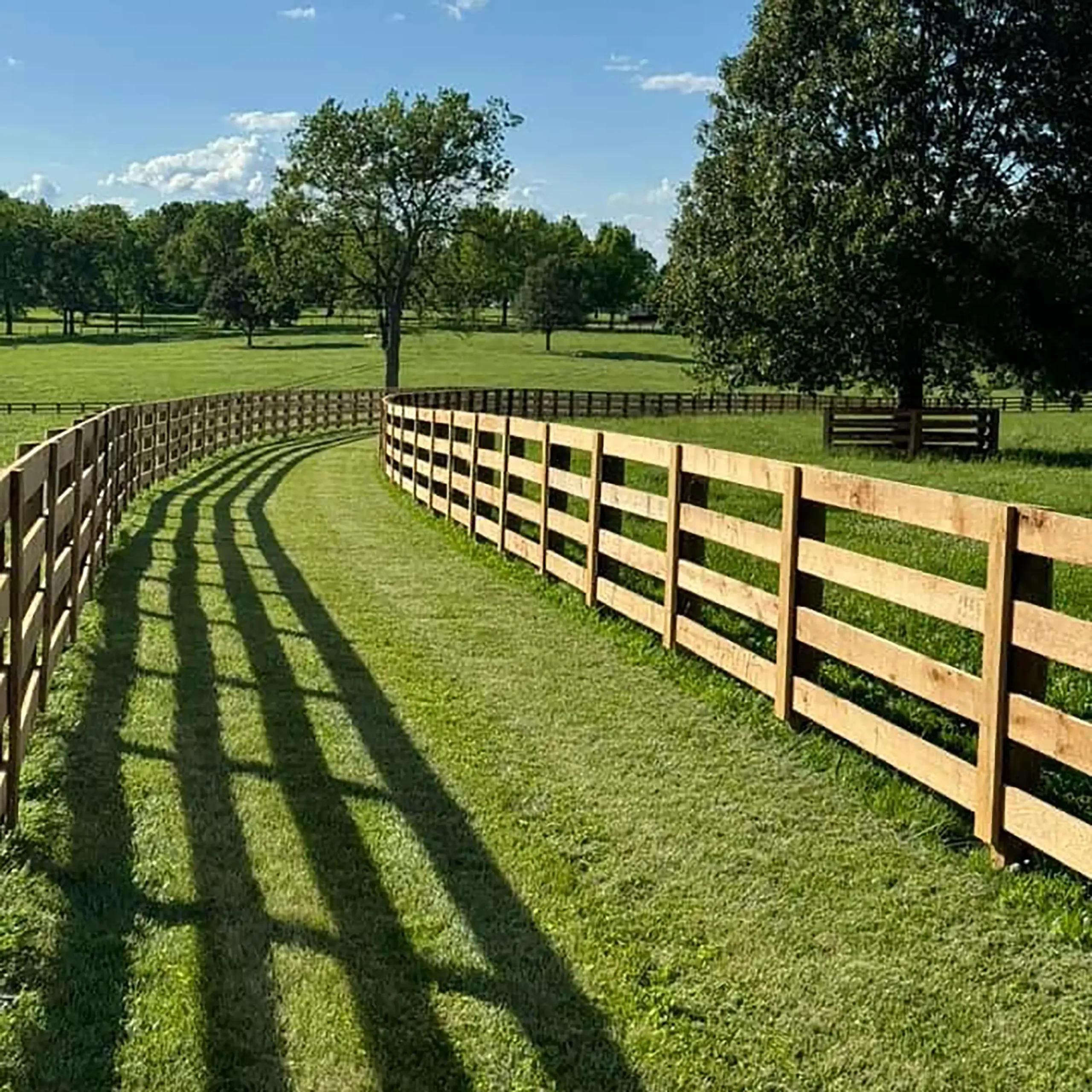 pine rough sawn fence boards