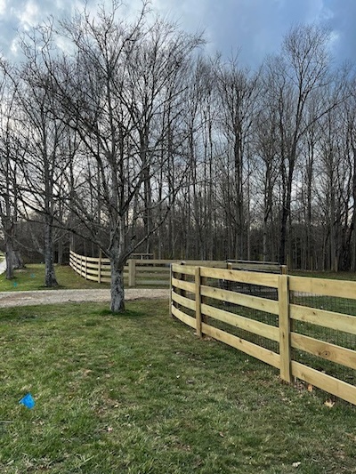 agricultural fence created from treated poplar wood